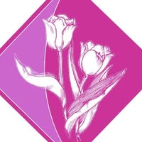 Florería Playa del Carmen